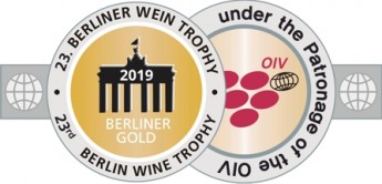 logo 2019 berliner summer gold
