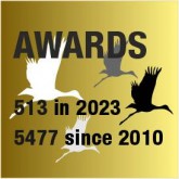 513 Awards in 2023 and 5477 since 2010