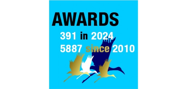 logo premios DFJ 2024_391_5887_storks_square_jpg