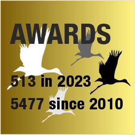 logo premios DFJ 2023_513_5477_01_storks_square_gold_