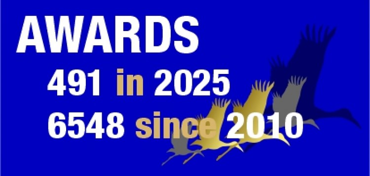 logo premios 491_6548_29nov25