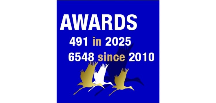 logo premios 491_6548_29nov25_square